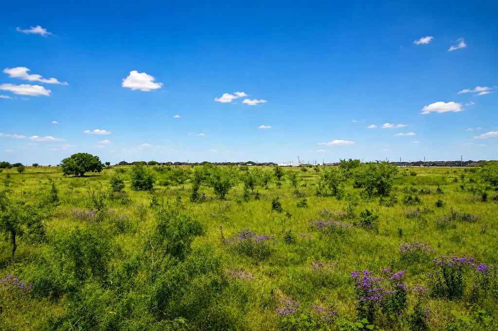 1804 Mensa Drive Haslet TX 76052