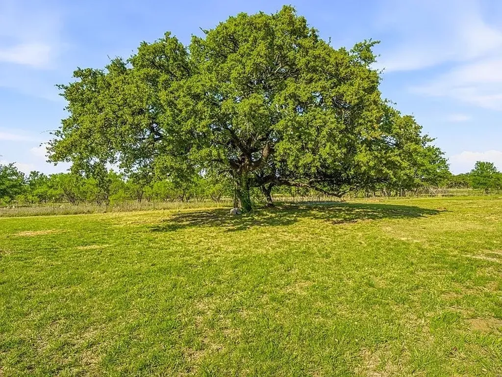 2997 County Road 339 Early TX 76802