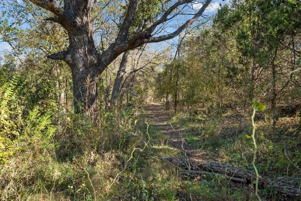 10723 County Road 539 Hico TX 76457