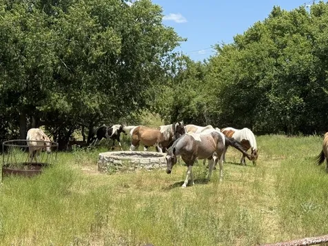 10723 County Road 539 Hico TX 76457