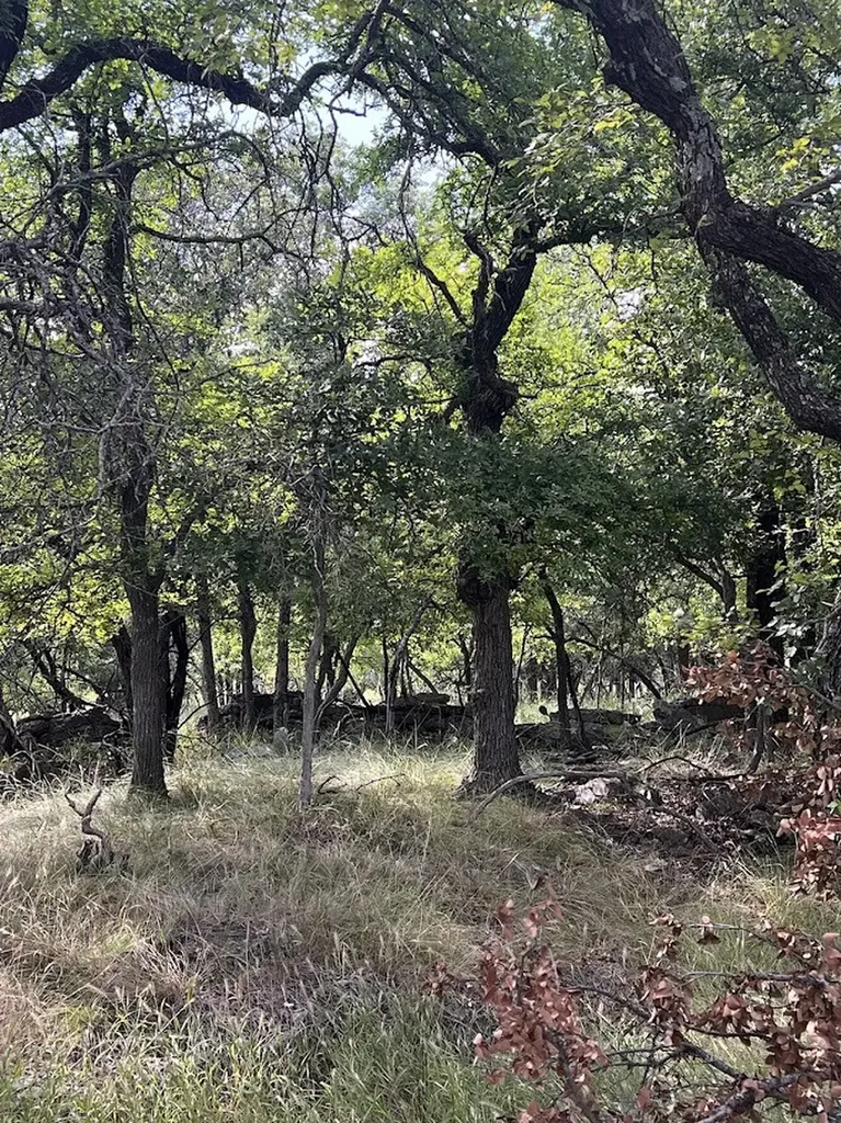 927 Cutter Circle May TX 76857