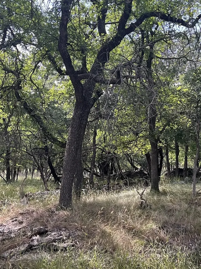 927 Cutter Circle May TX 76857