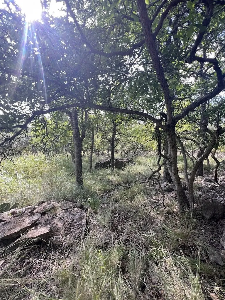 927 Cutter Circle May TX 76857
