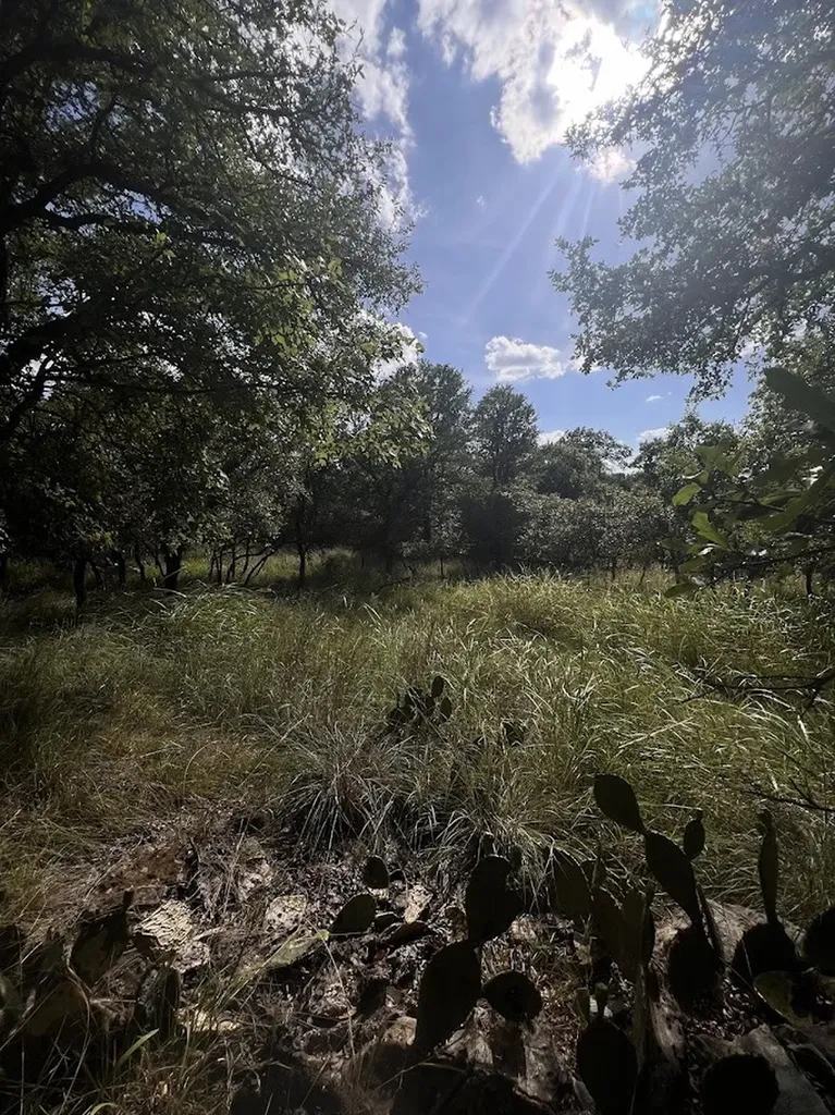927 Cutter Circle May TX 76857