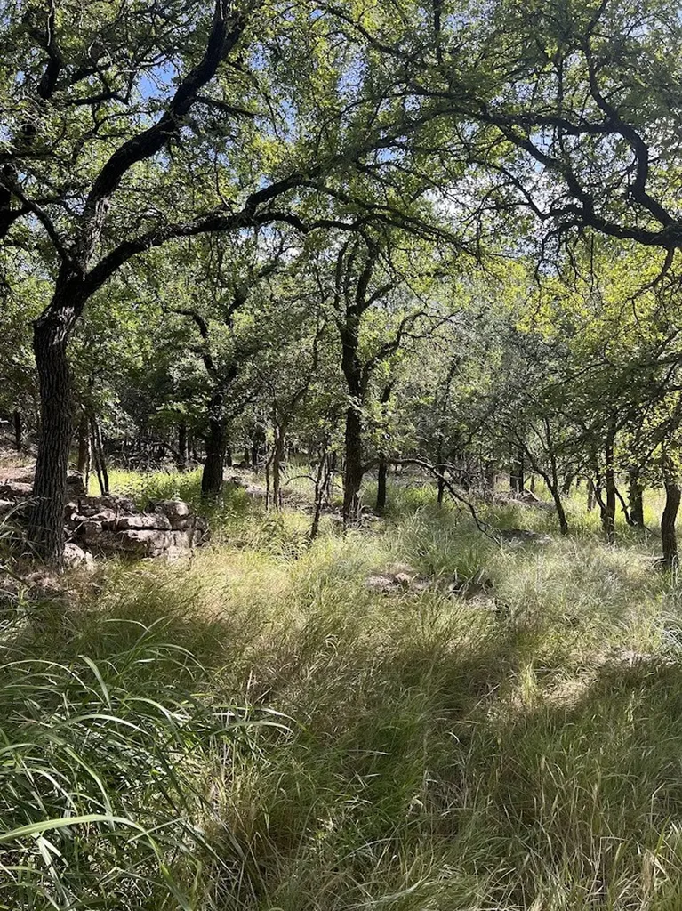 927 Cutter Circle May TX 76857