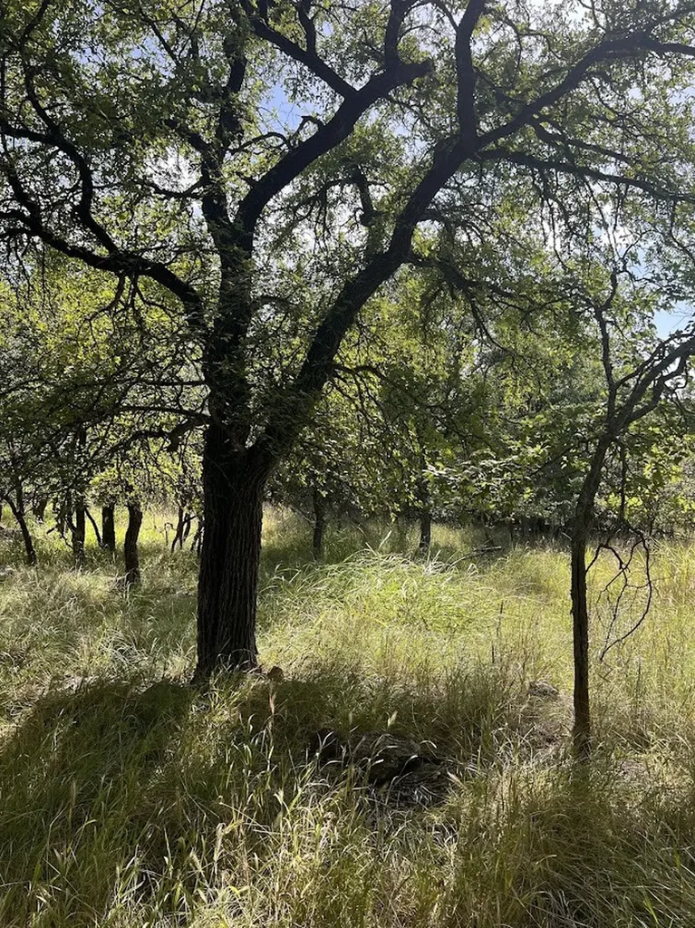927 Cutter Circle May TX 76857