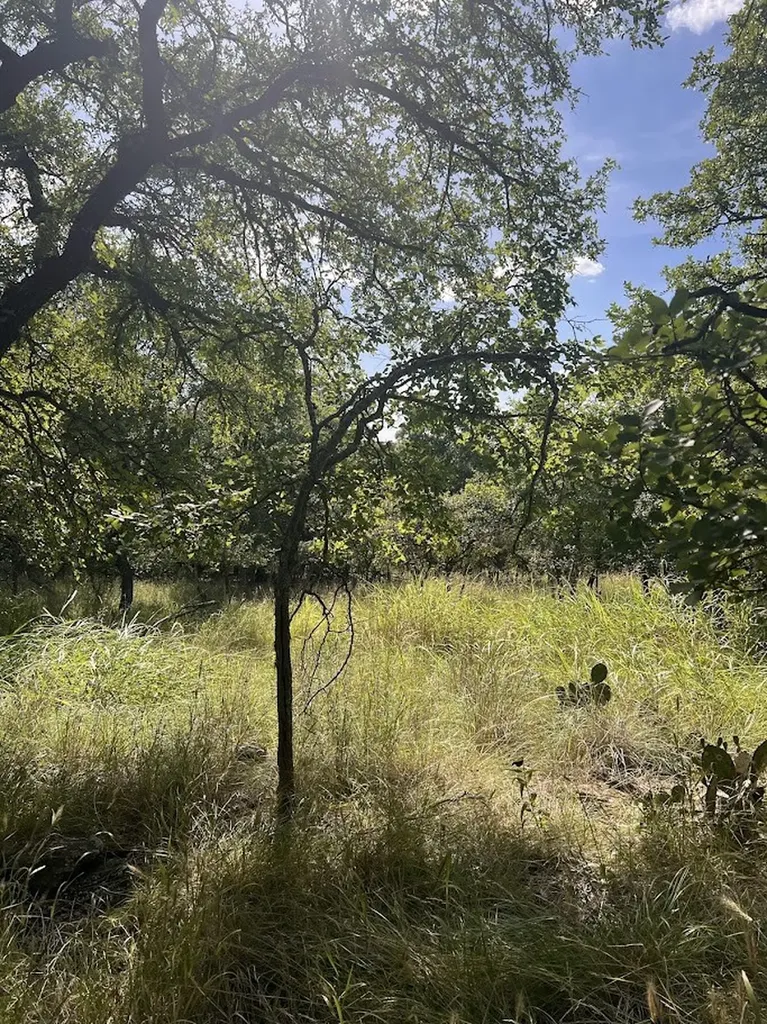 927 Cutter Circle May TX 76857