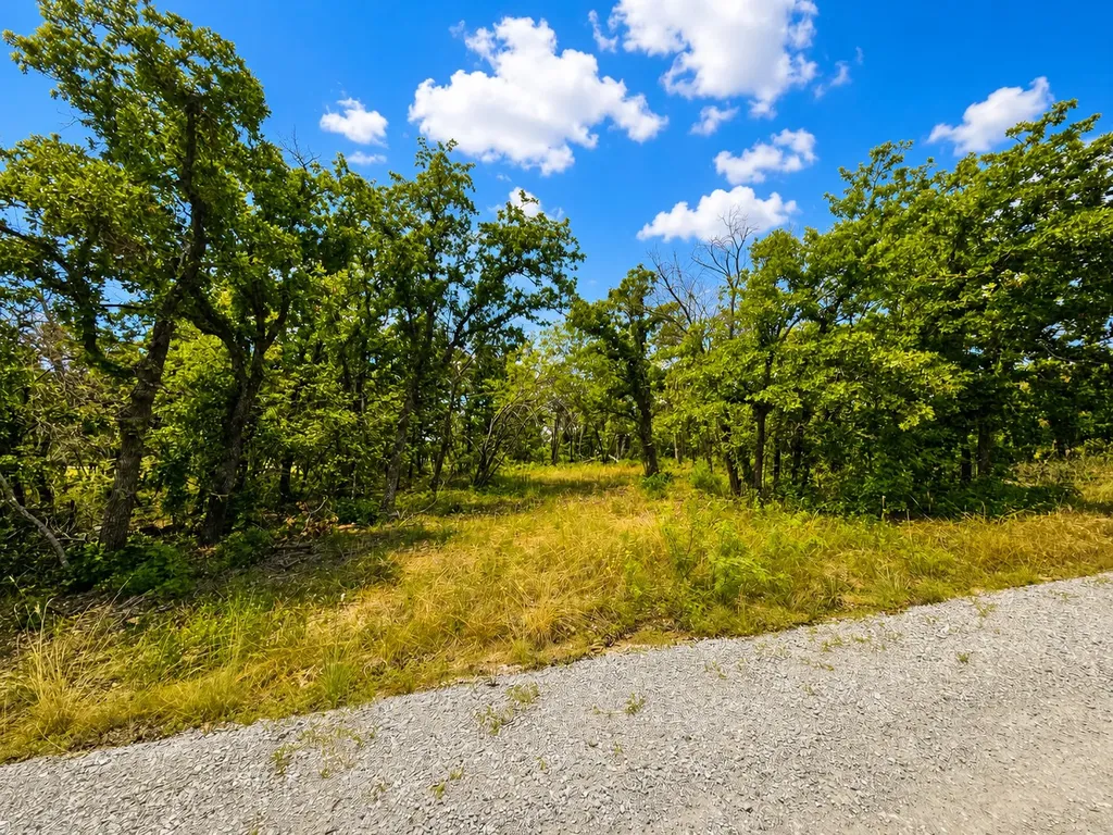 0000 Martins Lane Runaway Bay TX 76426