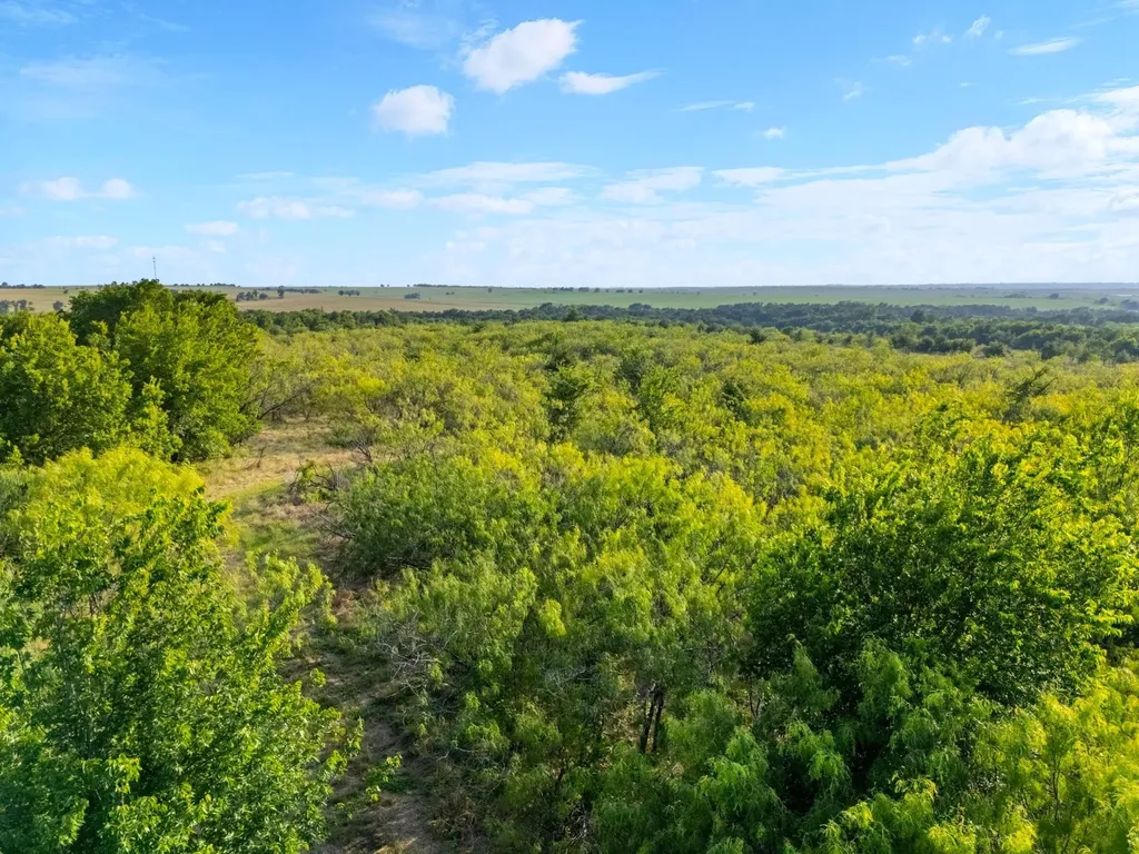 3005 Us Highway 77 Lott TX 76656