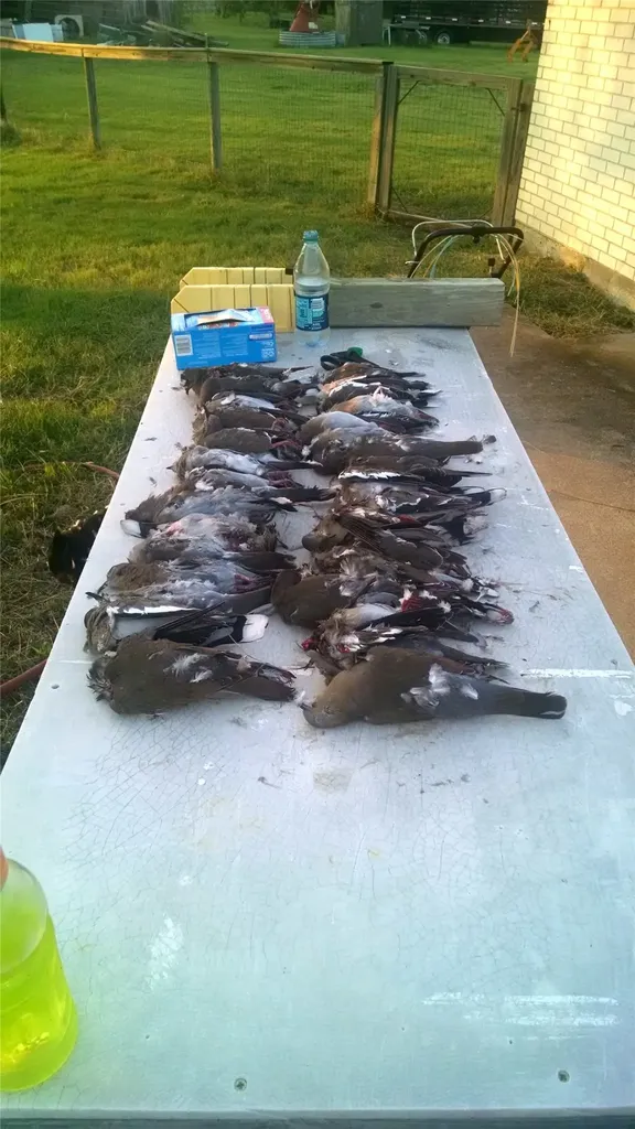 3005 Us Highway 77 Lott TX 76656