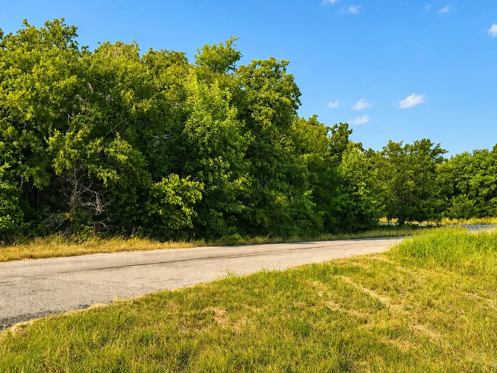 0000 Martins Lane Runaway Bay TX 76426