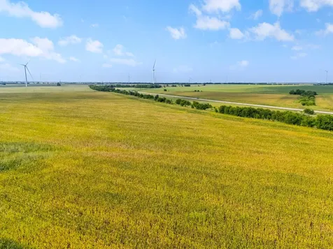 107.48 Ac. Tbd County Line Parkway Mart TX 76664