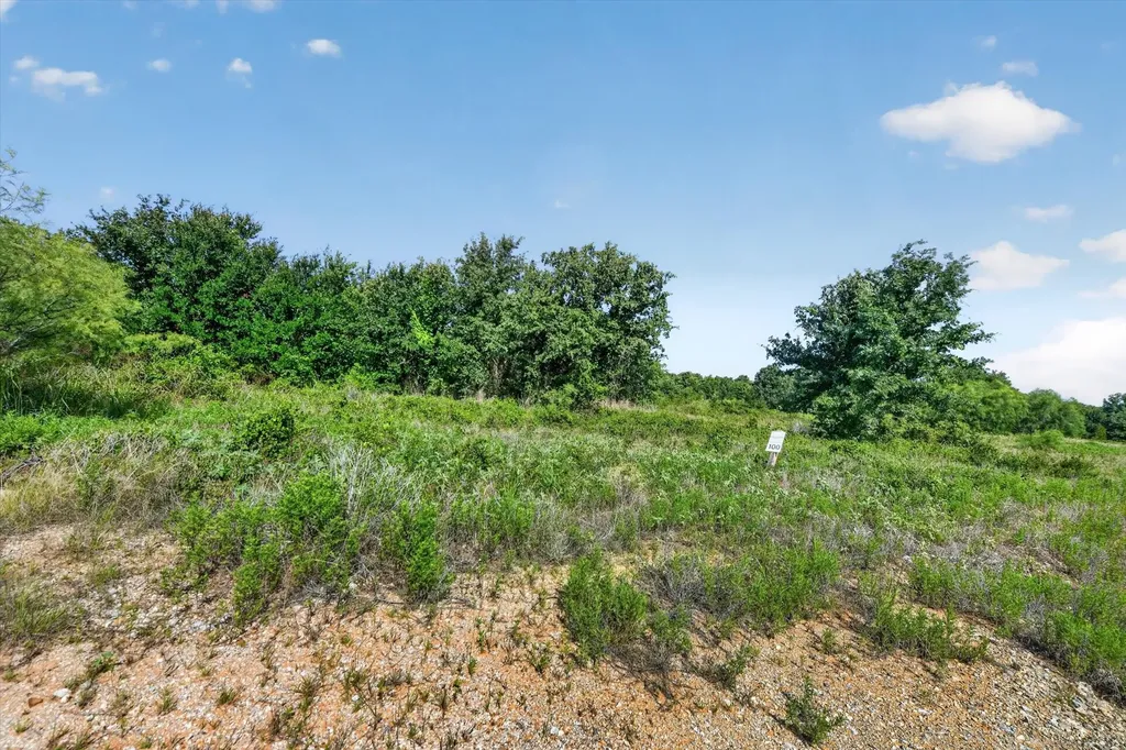 Tbd Blissful Court Perrin TX 76487