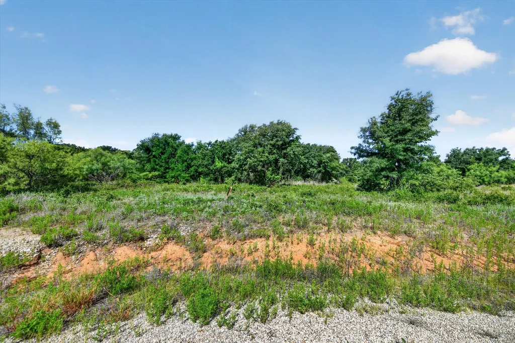 Tbd Blissful Court Perrin TX 76487
