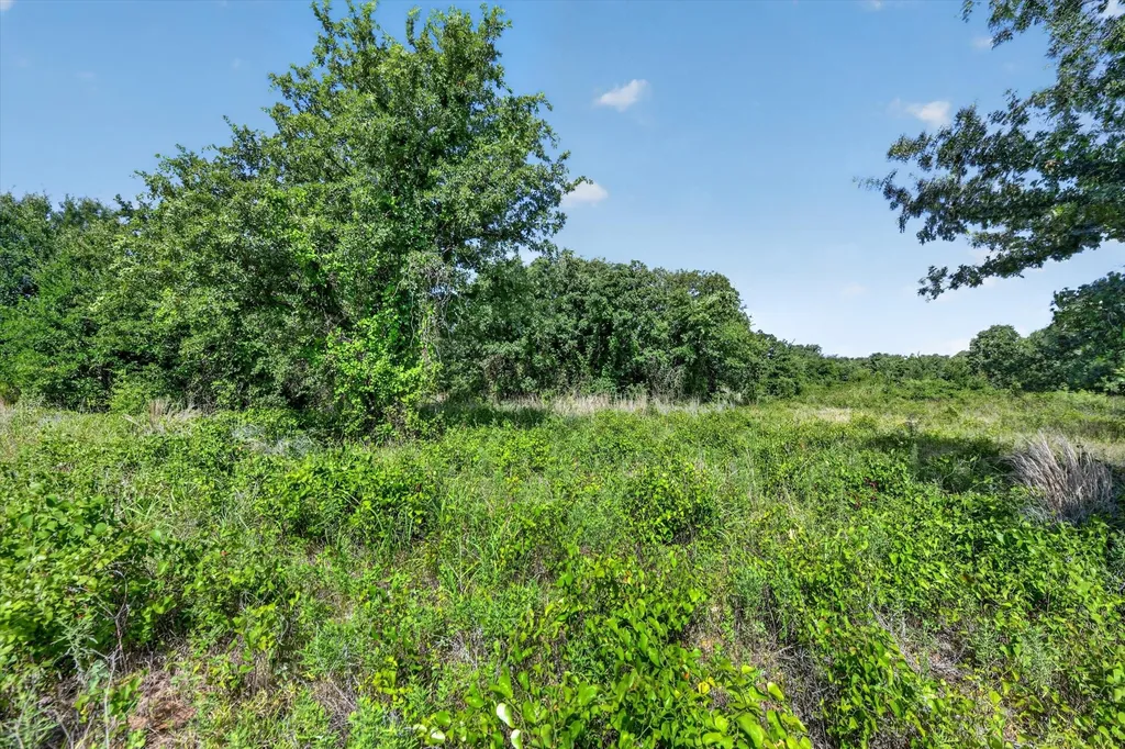 Tbd Blissful Court Perrin TX 76487