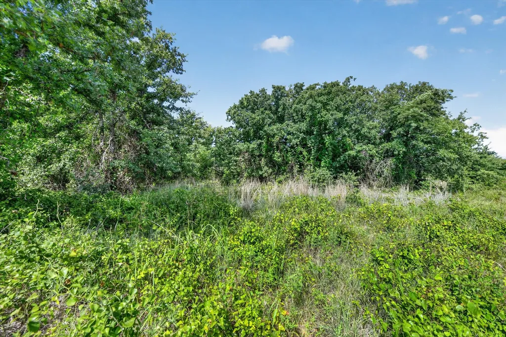 Tbd Blissful Court Perrin TX 76487