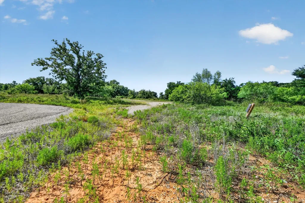 Tbd Blissful Court Perrin TX 76487
