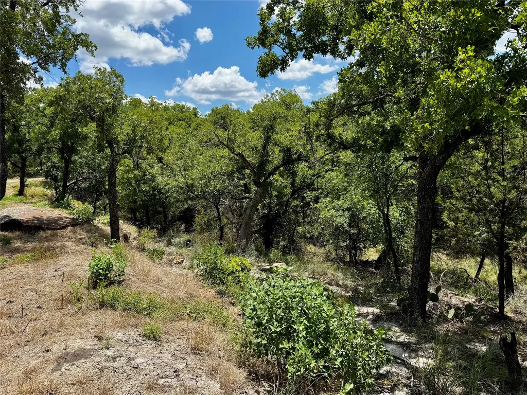 Tbd Chism Trail Gordon TX 76453