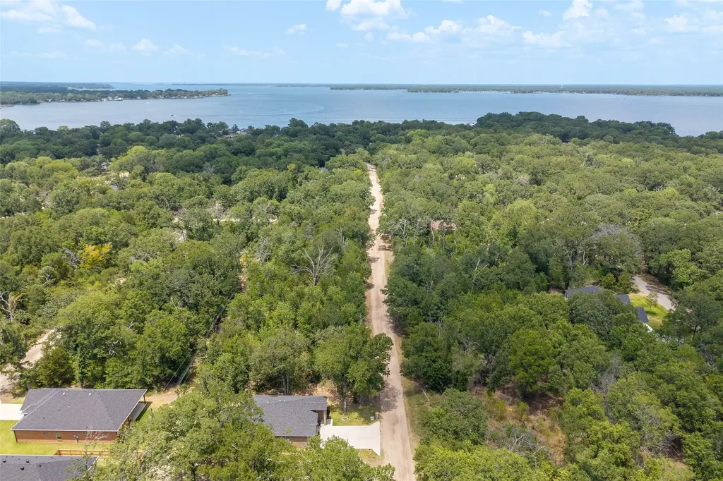 119 Driftwood Drive Trinidad TX 75163