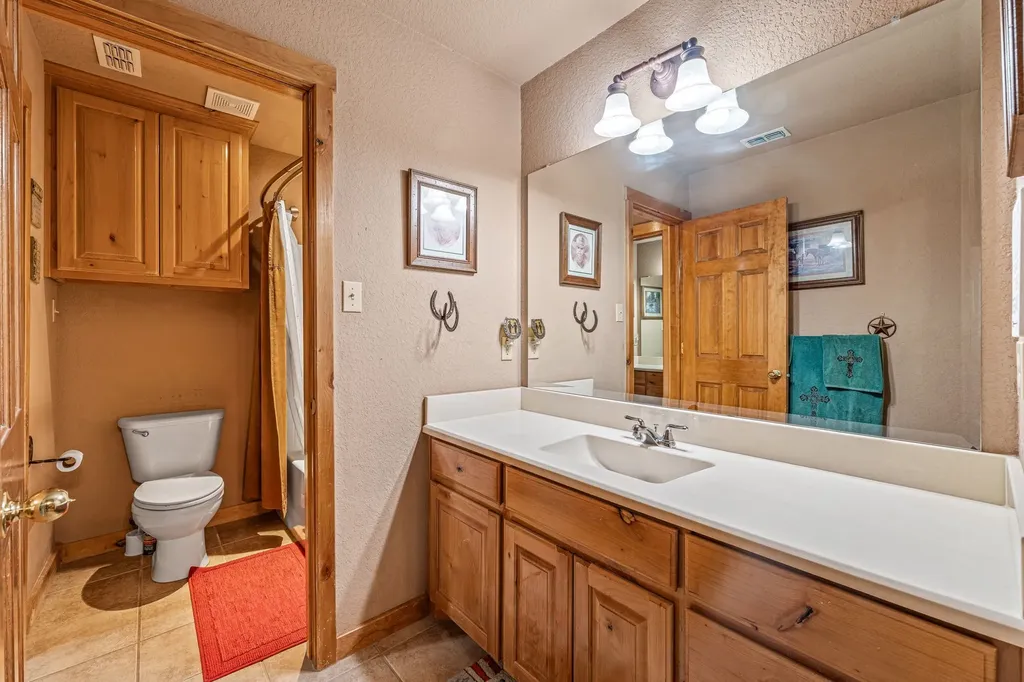 475 Magic Valley Bluff Dale TX 76433