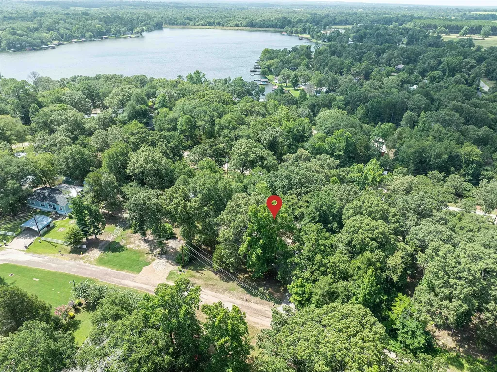 190 E Sycamore Lane Murchison TX 75778