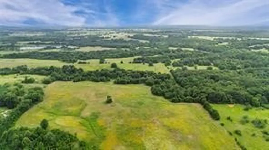 493.52 Ac Rs County Road 4515 Point TX 75472