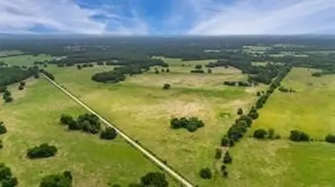493.52 Ac Rs County Road 4515 Point TX 75472