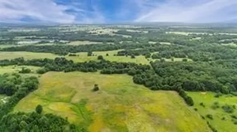 493.52 Ac Rs County Road 4515 Point TX 75472