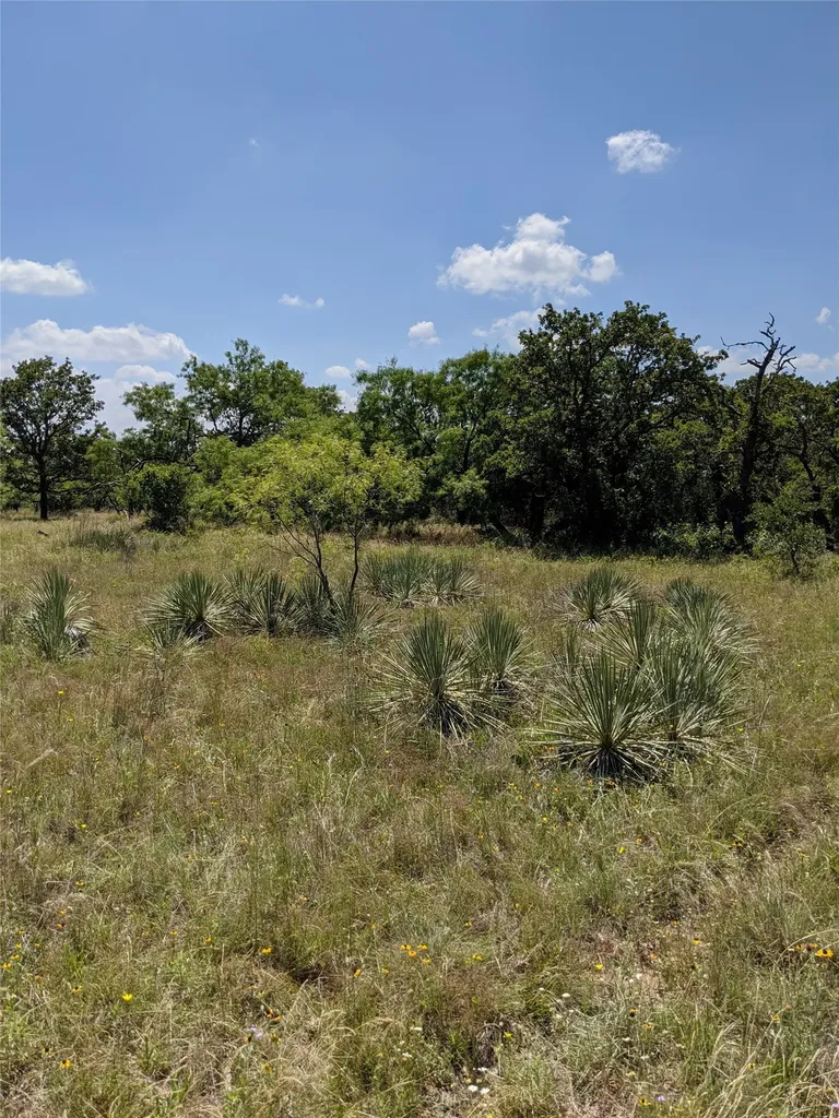 0000 Co Road 271 Rising Star TX 76471