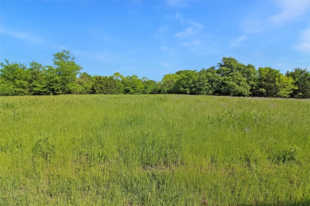 7304 Shady Lane Scurry TX 75158