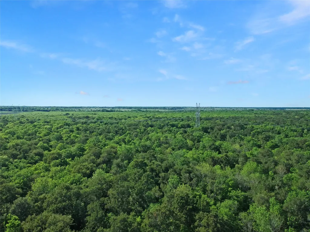 7304 Shady Lane Scurry TX 75158
