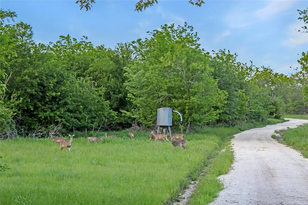 7304 Shady Lane Scurry TX 75158