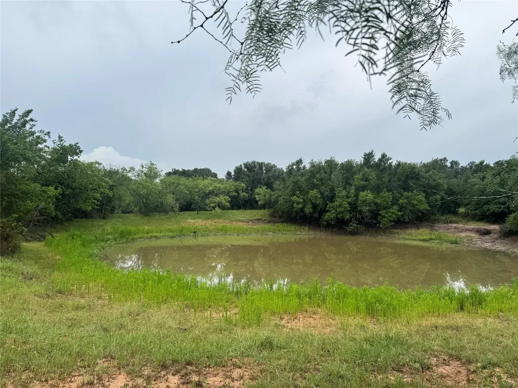 2110 County Road 362 Desdemona TX 76445
