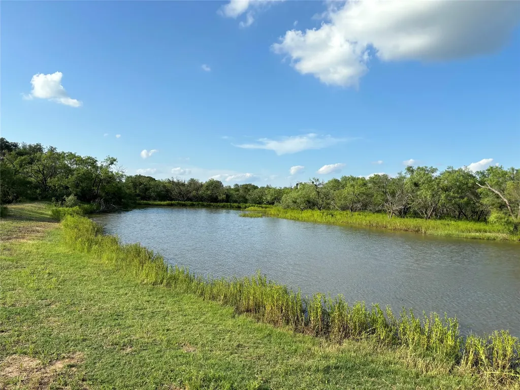 2110 County Road 362 Desdemona TX 76445