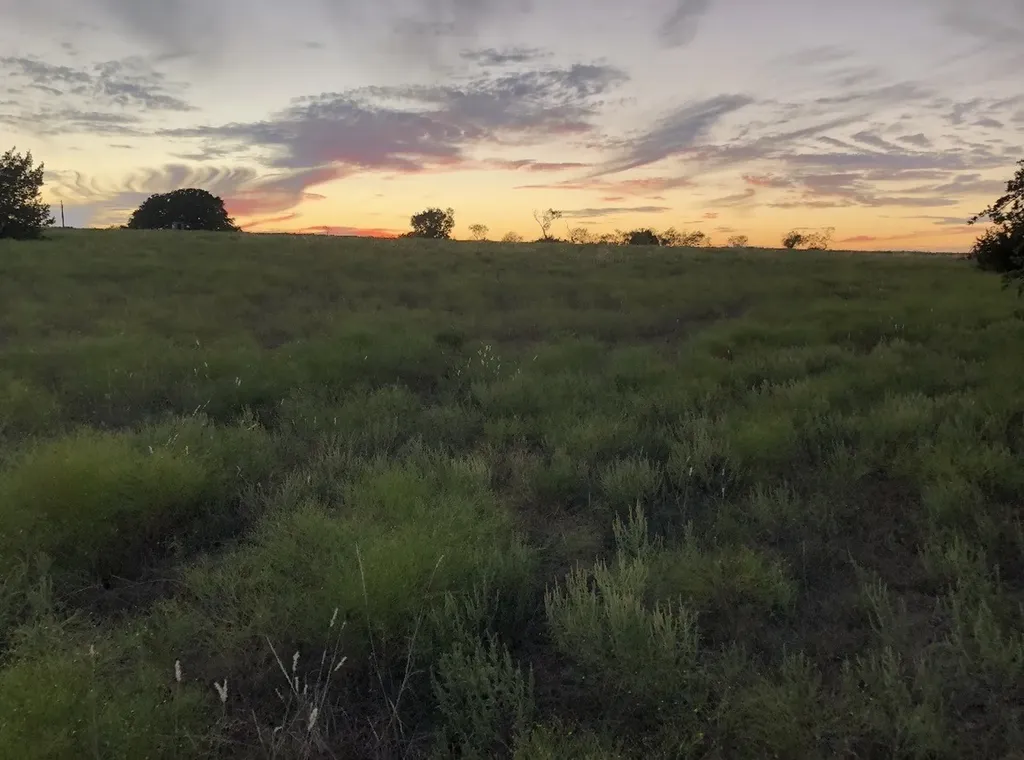 2110 County Road 362 Desdemona TX 76445