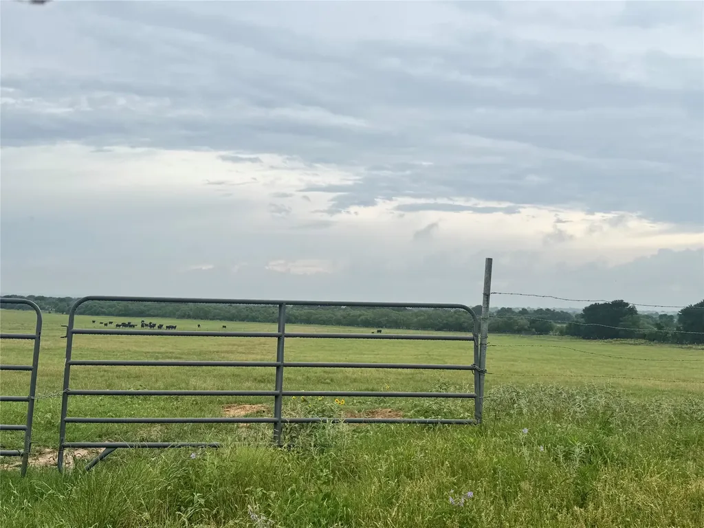 2110 County Road 362 Desdemona TX 76445