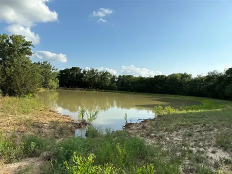 2110 County Road 362 Desdemona TX 76445