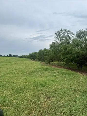 2110 County Road 362 Desdemona TX 76445