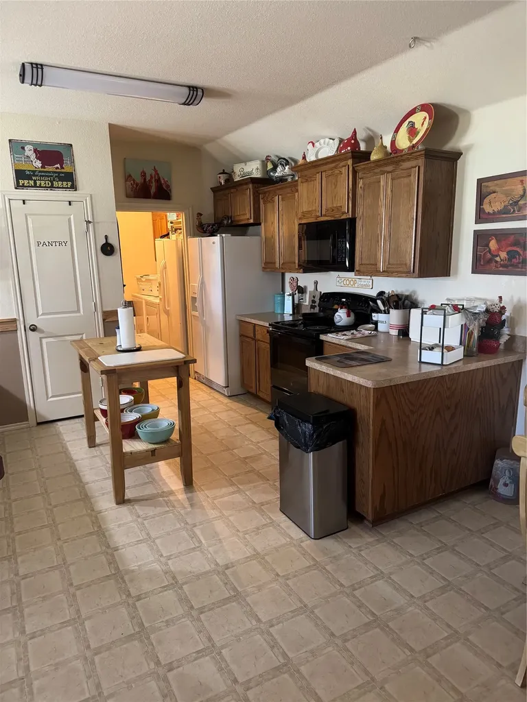 1485 Sartain Road Mineral Wells TX 76067