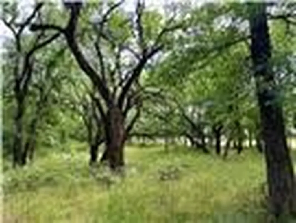 2396 County Road 2145 Cooper TX 75432