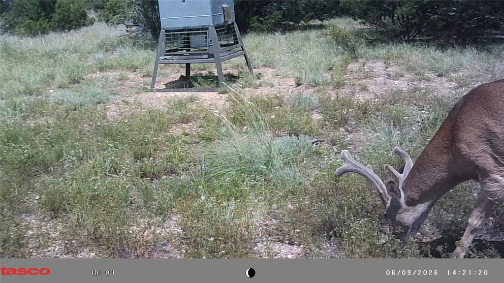 3366 County Road 419 Evant TX 76525