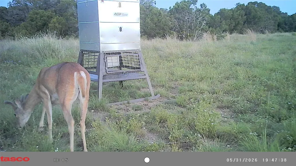 3366 County Road 419 Evant TX 76525