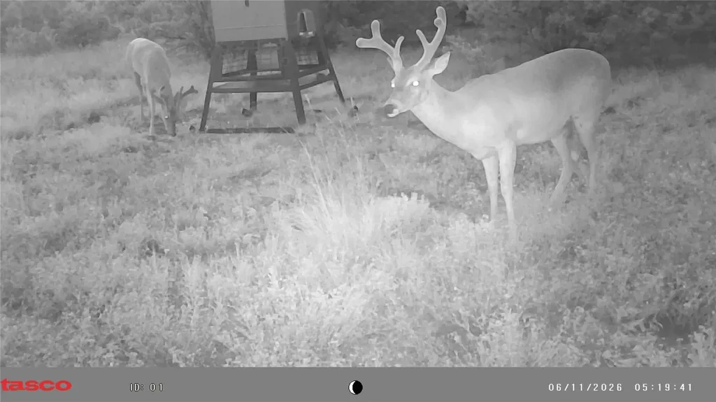 3366 County Road 419 Evant TX 76525