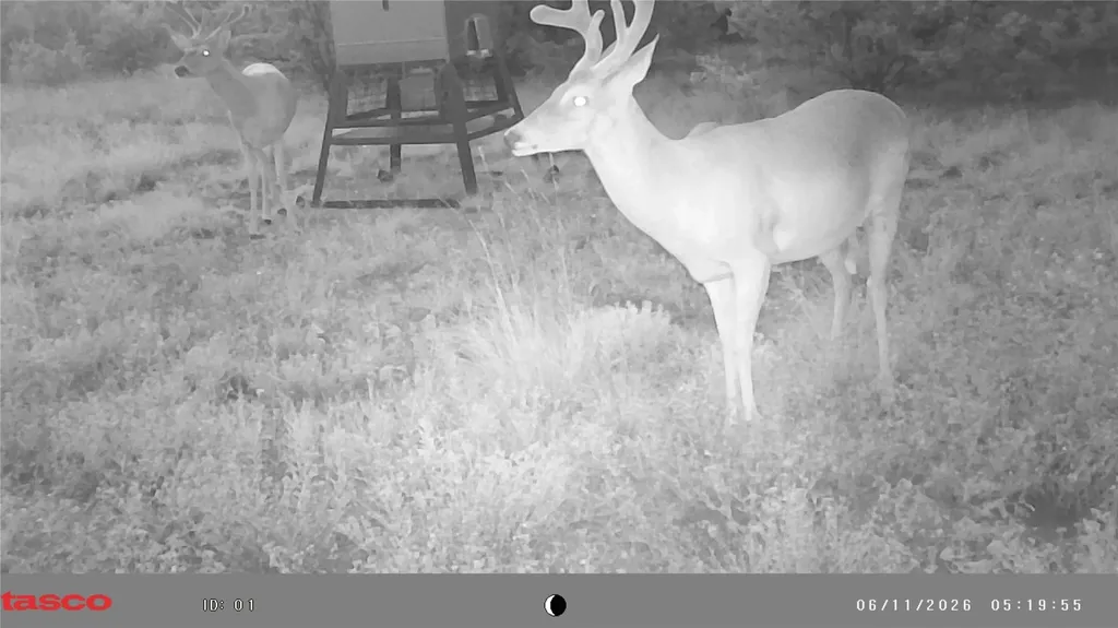 3366 County Road 419 Evant TX 76525