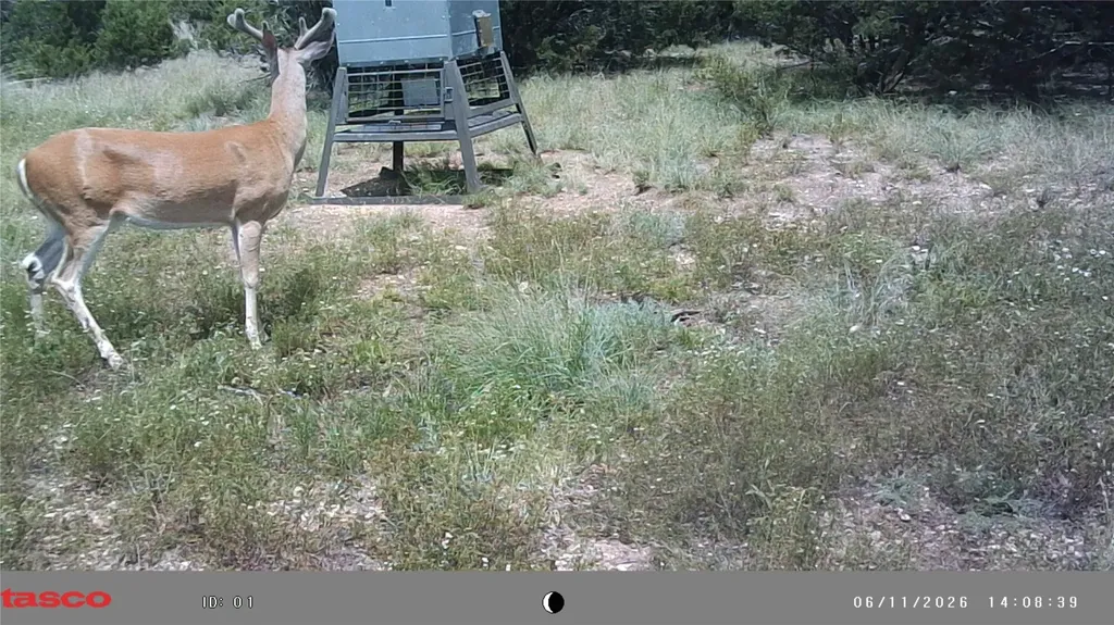 3366 County Road 419 Evant TX 76525