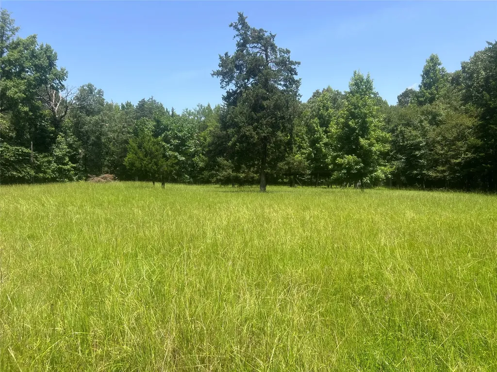 Tract 4 Cr 44400 Powderly TX 75473