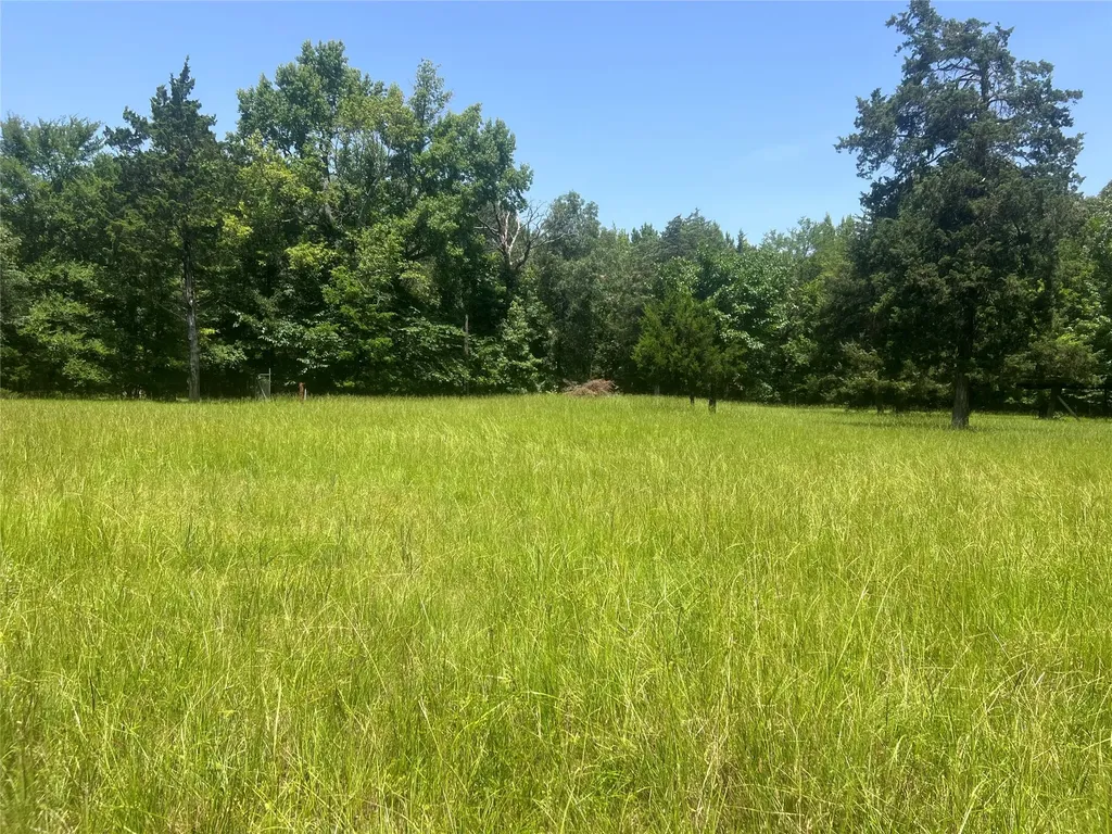 Tract 4 Cr 44400 Powderly TX 75473