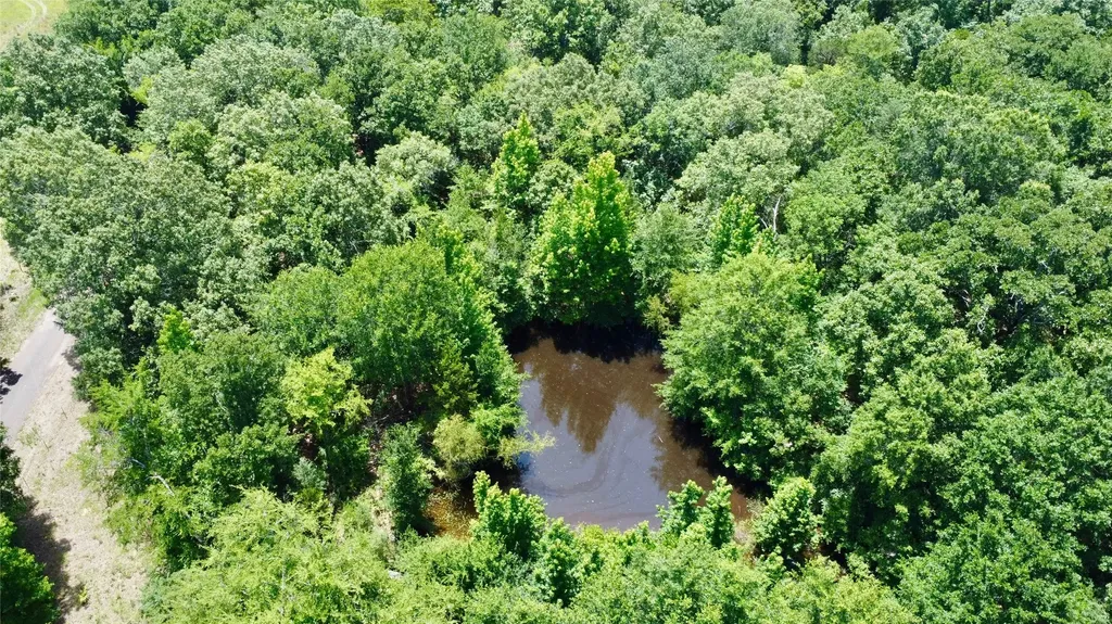 Tract 5 Cr 44400 Powderly TX 75473