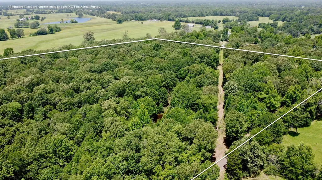 Tract 5 Cr 44400 Powderly TX 75473