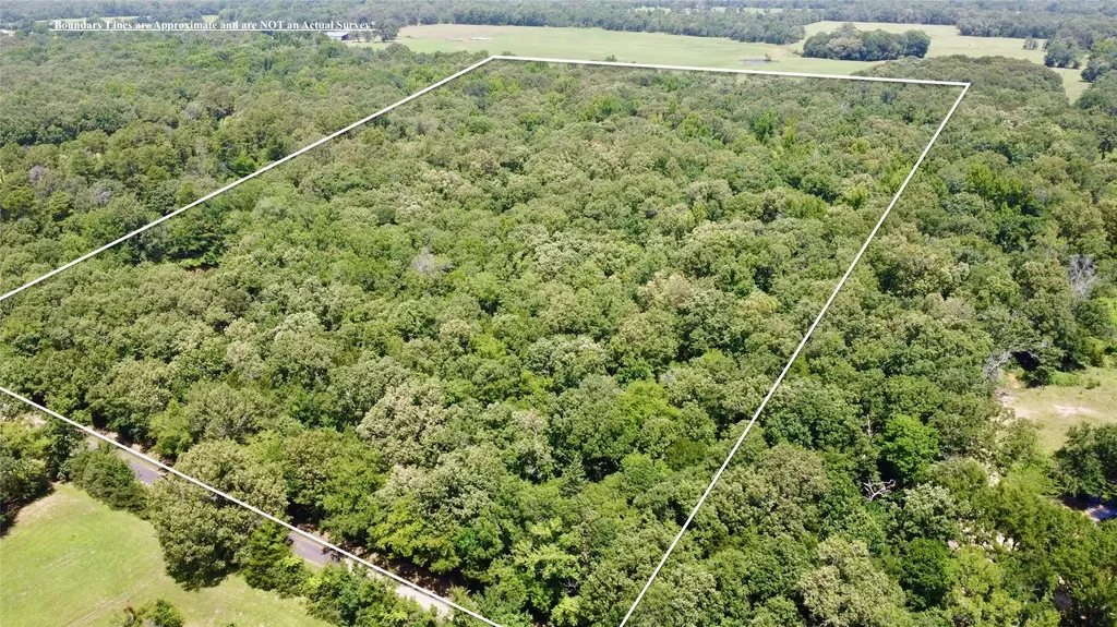 Tract 3 Cr 44400 Powderly TX 75473